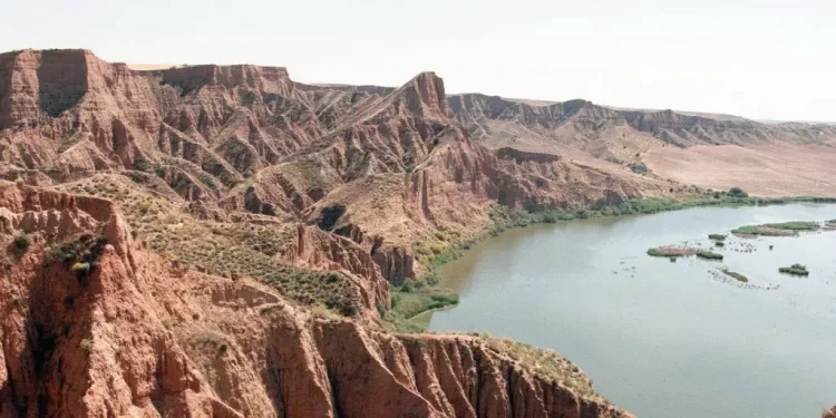 Suspenden el concierto con ‘tardeo’ anunciado en Las Barrancas>