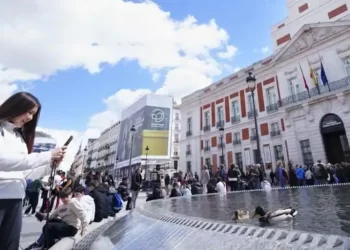 Una pareja de patos, nuevos vecinos de la renovada Puerta del Sol>