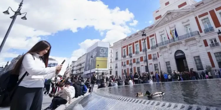 Una pareja de patos, nuevos vecinos de la renovada Puerta del Sol>