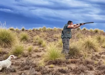 El periodo de caza arranca el 8 de octubre y sigue la prohibición de visores térmicos en caza menor en Castilla-La Mancha>
