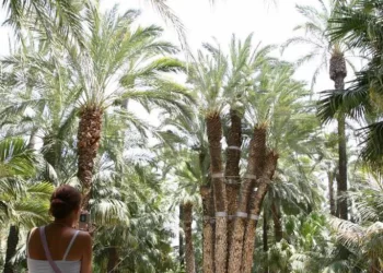 Llega a Elche la segunda edición de «Smart Strategies for B2B and B2C» sobre innovación, IA y e-commerce>