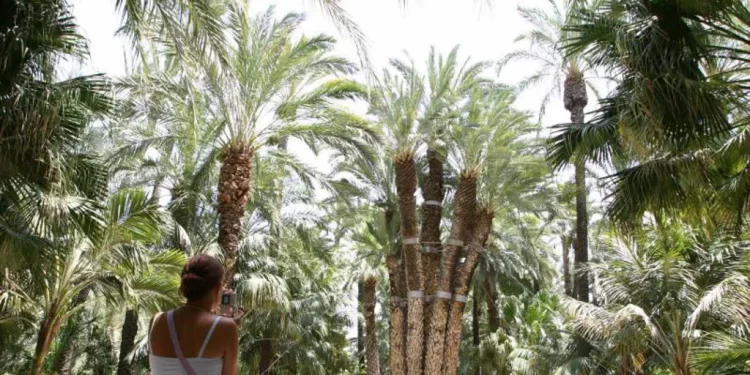 Llega a Elche la segunda edición de «Smart Strategies for B2B and B2C» sobre innovación, IA y e-commerce>