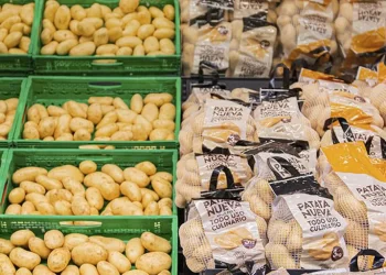 Mercadona desvela el origen de sus patatas: más de 94.000 toneladas en la campaña de verano>