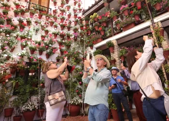 Patios de Córdoba: las colas y el éxito que abre el debate sobre el uso de cámaras y móviles>
