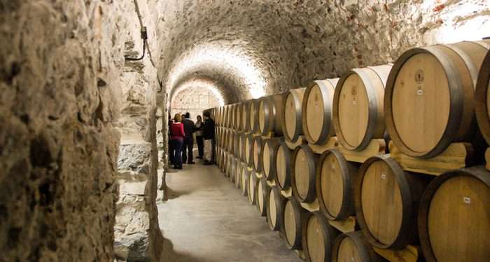 A través de cámaras de seguridad privadas fortalecen medidas de seguridad en bodegas mendocinas y alrededores