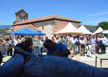 El atún Fernando y sus imponentes 236 kilos llevan el ‘ronqueo’ a la sierra de Madrid>