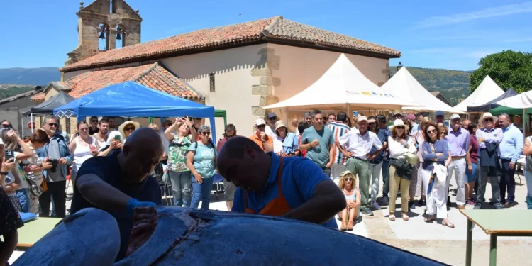 El atún Fernando y sus imponentes 236 kilos llevan el ‘ronqueo’ a la sierra de Madrid>