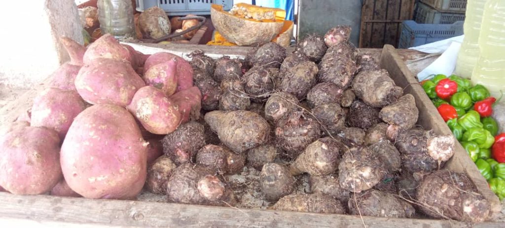 Malanga en un mercado de Santa Clara