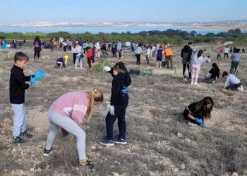 La sequía se agrava en la Comunidad Valenciana y recurren a una técnica de plantación «extrema» para zonas semiáridas>