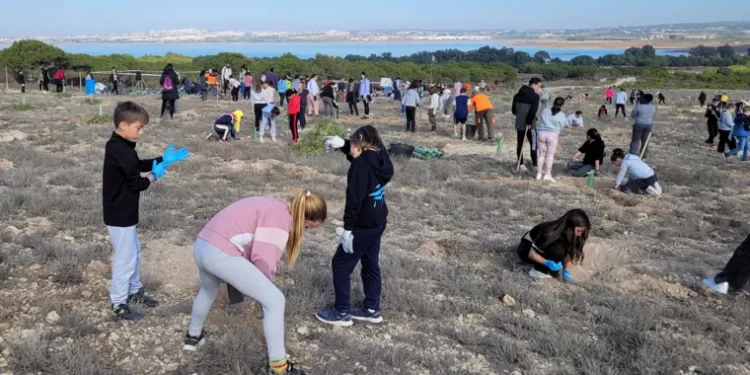 La sequía se agrava en la Comunidad Valenciana y recurren a una técnica de plantación «extrema» para zonas semiáridas>