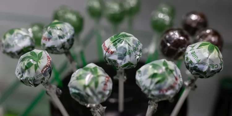 Prohibida la venta a menores de CBD en farmacias y su publicidad en Madrid: estos son los límites al consumo de cannabis que tendrá la ley>