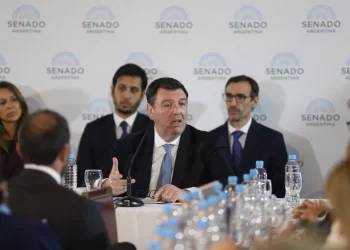 Lijo en el Senado: el juez federal defiende su candidatura a la Corte Suprema