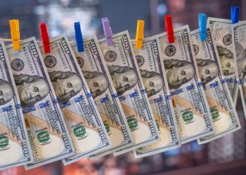 Blanqueo de menos de u$s100.000: en qué se invierten los fondos