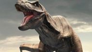 Descubrimiento sin precedentes: encuentran las huellas de dinosaurios más pequeñas del mundo