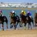 Sanlúcar afronta la recta final de las Carreras de Caballos con el segundo ciclo