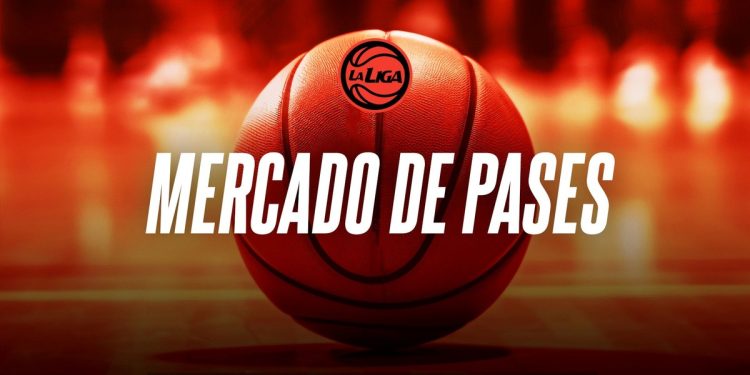 Informe: así está el mercado de pases de la Liga Nacional