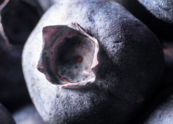 La fruta que fortifica los huesos, promueve la generación de colágeno y alivia los dolores musculares