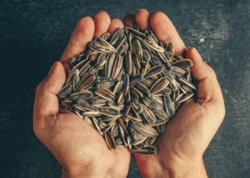 La semilla desconocida que reduce el colesterol, ayuda a bajar de peso y rejuvenece la piel