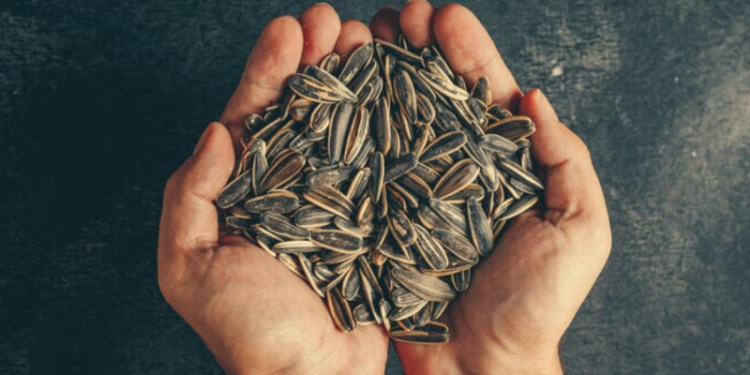 La semilla desconocida que reduce el colesterol, ayuda a bajar de peso y rejuvenece la piel