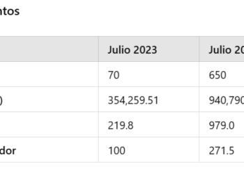 Los aumentos de Mendotran, AySam y Edemsa: un golpe duro para las familias de Mendoza