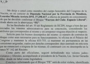 Lourdes Arrieta armó su propio unibloque… pero pidió que no le corten sus millonarios privilegios