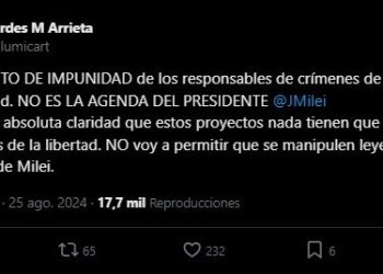 Lourdes Arrieta no para: ahora compartió un proyecto libertario para acortar el plazo para condenar genocidas