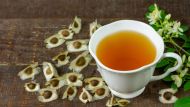 Té de moringa: la receta para preparar la infusión con esta planta que se puede aprovechar desde la raíz hasta la flor