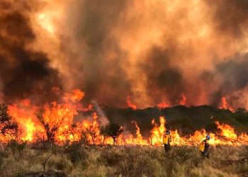 Incendios fuera de control en Córdoba: el fuego avanzó rápidamente en La Calera y se acerca a las casas