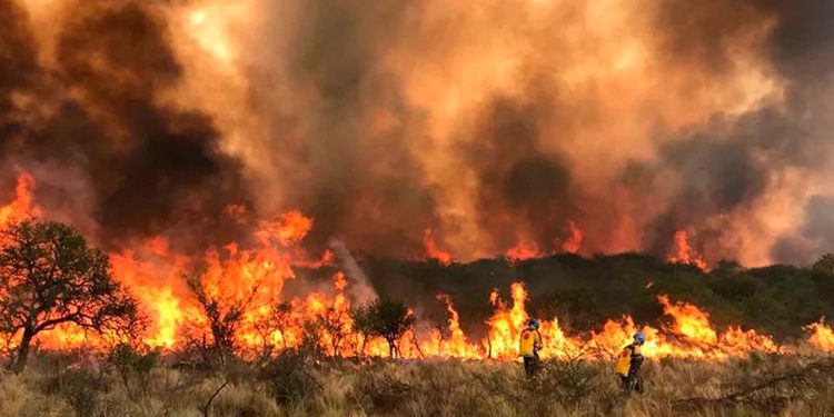 Incendios fuera de control en Córdoba: el fuego avanzó rápidamente en La Calera y se acerca a las casas
