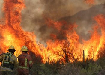 Luis Petri recargado, entre la lucha contra el fuego y maniobras militares en Bahía Blanca