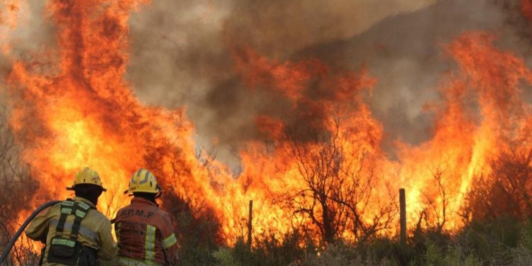 Luis Petri recargado, entre la lucha contra el fuego y maniobras militares en Bahía Blanca