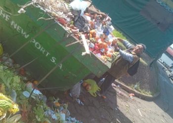 El estado presente de Kicillof: organiza tours para que la gente retire frutas y Verduras de la basura en el Mercado Central