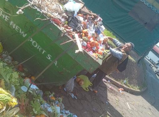 El estado presente de Kicillof: organiza tours para que la gente retire frutas y Verduras de la basura en el Mercado Central