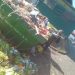 El estado presente de Kicillof: organiza tours para que la gente retire frutas y Verduras de la basura en el Mercado Central