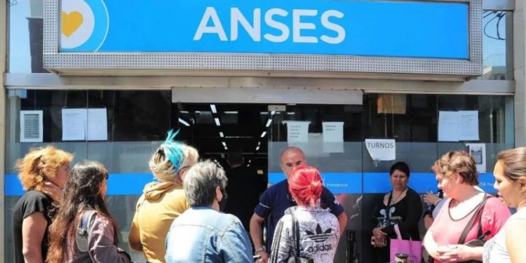 ANSES: ¿cuáles son los trámites que se pueden hacer gratis?