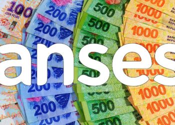 ANSES pagará $ 200.000 a este grupo que cumpla con un requisito