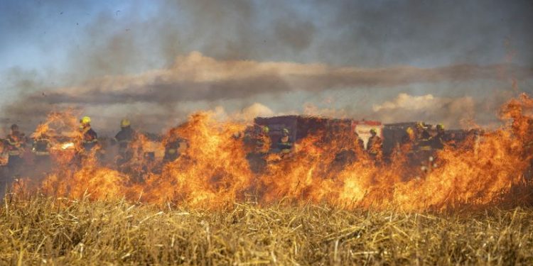 Así impacta el humo de los incendios forestales en el cerebro y el resto del cuerpo: la opinión de los expertos