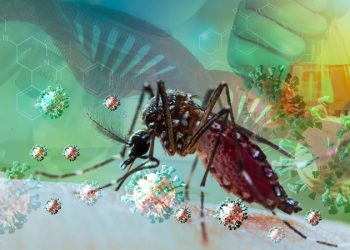 Científicos argentinos descubrieron qué insecticida mata a los mosquitos del dengue y es 100% eficaz