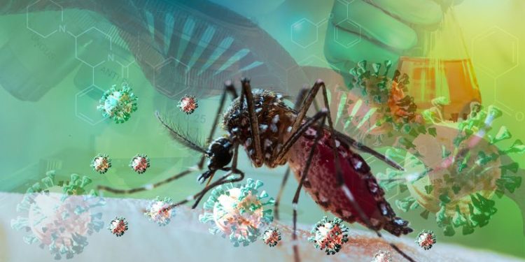 Científicos argentinos descubrieron qué insecticida mata a los mosquitos del dengue y es 100% eficaz