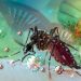 Científicos argentinos descubrieron qué insecticida mata a los mosquitos del dengue y es 100% eficaz