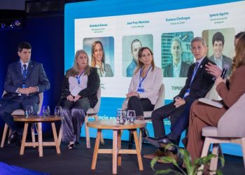 Con el RIGI solo no alcanza: para las empresas nórdicas, el cepo sigue siendo “un equivalente a riesgo”