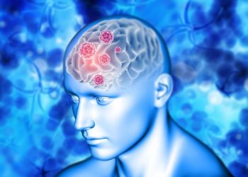 Descubrimiento alarmante: científicos encuentran un virus que se entierra en el cerebro y es causado por la picadura de una garrapata