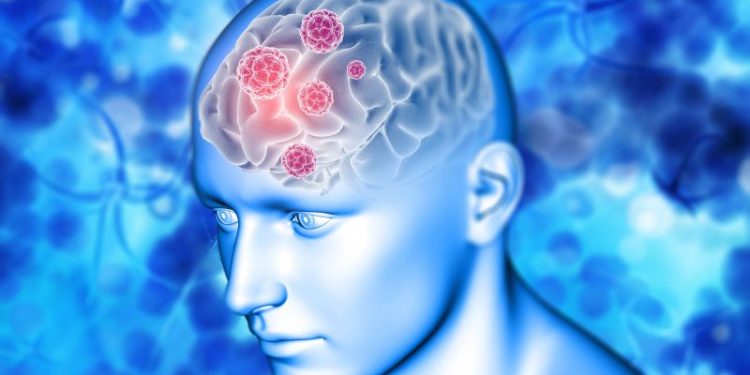 Descubrimiento alarmante: científicos encuentran un virus que se entierra en el cerebro y es causado por la picadura de una garrapata