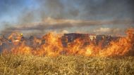 Así impacta el humo de los incendios forestales en el cerebro y el resto del cuerpo: la opinión de los expertos