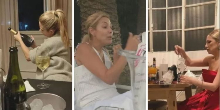 La defensa de Alberto Fernández presentó en la justicia fotos de Fabiola Yáñez tomando alcohol