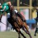 La Natividad aguarda por La Dolfina o Ellerstina en la final del Abierto de Hurlingham