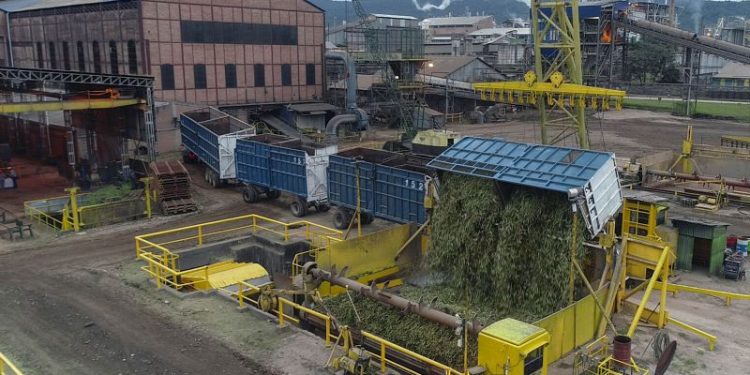 La ‘nueva tradición’ de los Blaquier: los presidentes de Ledesma ya no mueren en el cargo