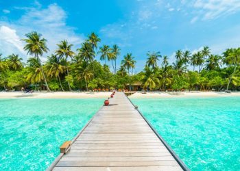 Las 5 islas más grandes del mundo: ¿dónde quedan y cuál es la extensión en kilómetros cuadrados de cada una?