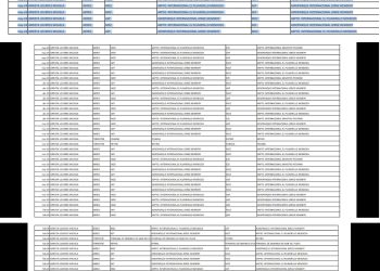 Lourdes, la viajera: desde que asumió como diputada por Mendoza, utilizó 92 pasajes pagados por el Estado