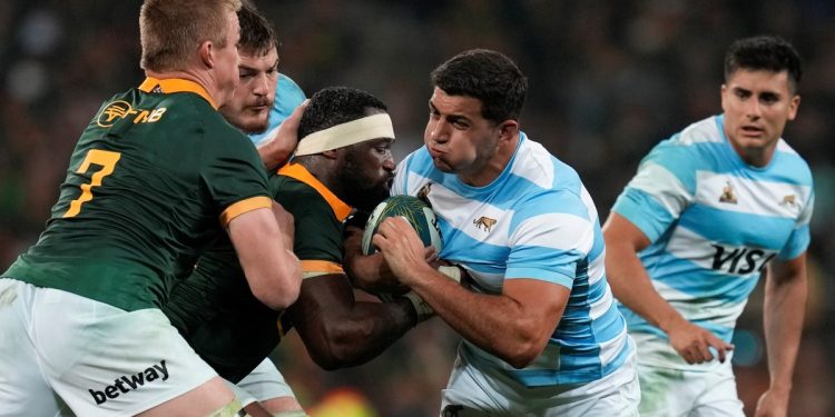 Pese a la derrota: por qué Los Pumas hicieron un Rugby Championship histórico